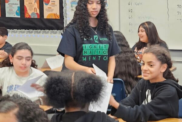 Mentor Leading peers through activity.